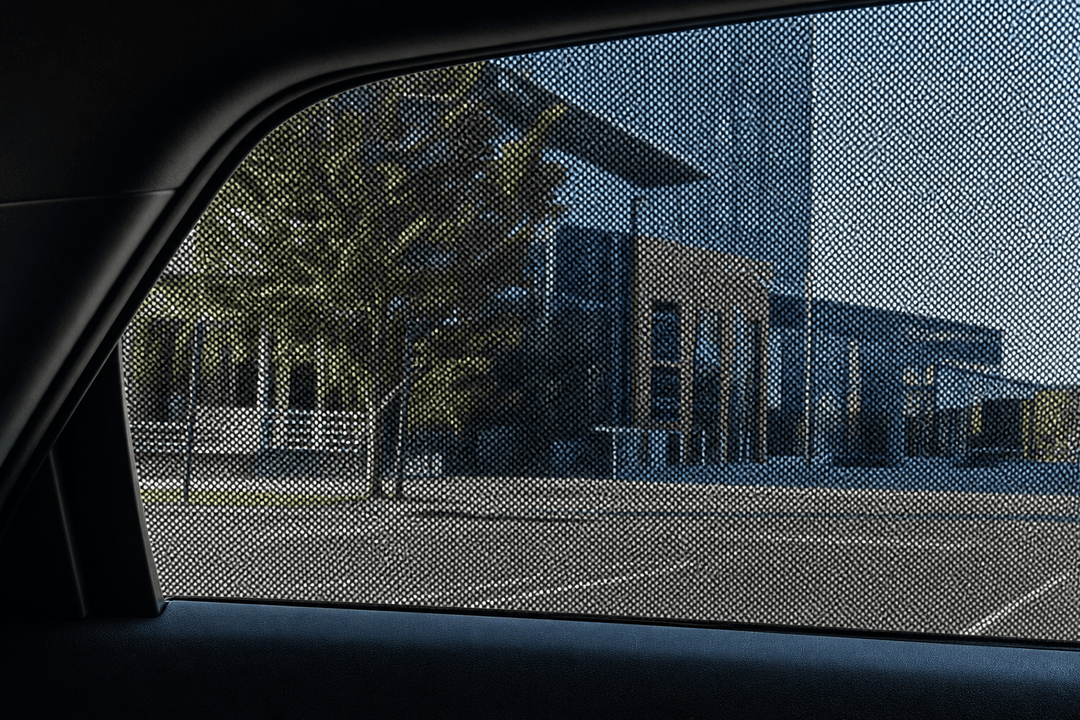 Rear Window Graphics